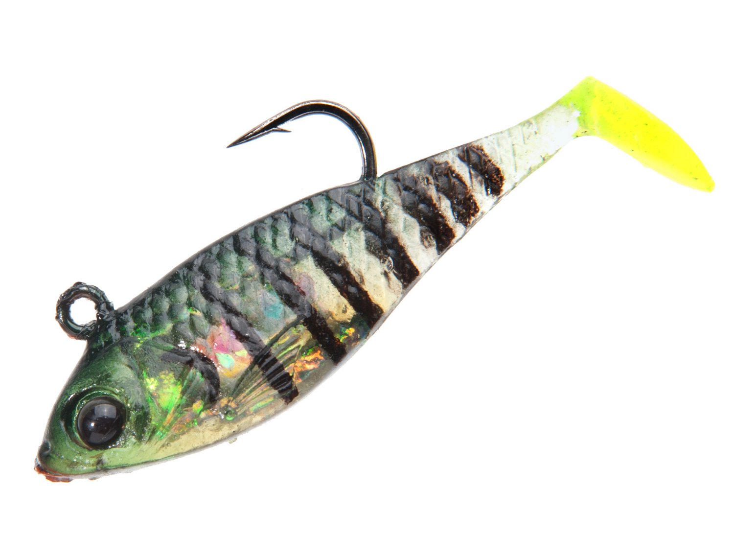 Bluegill