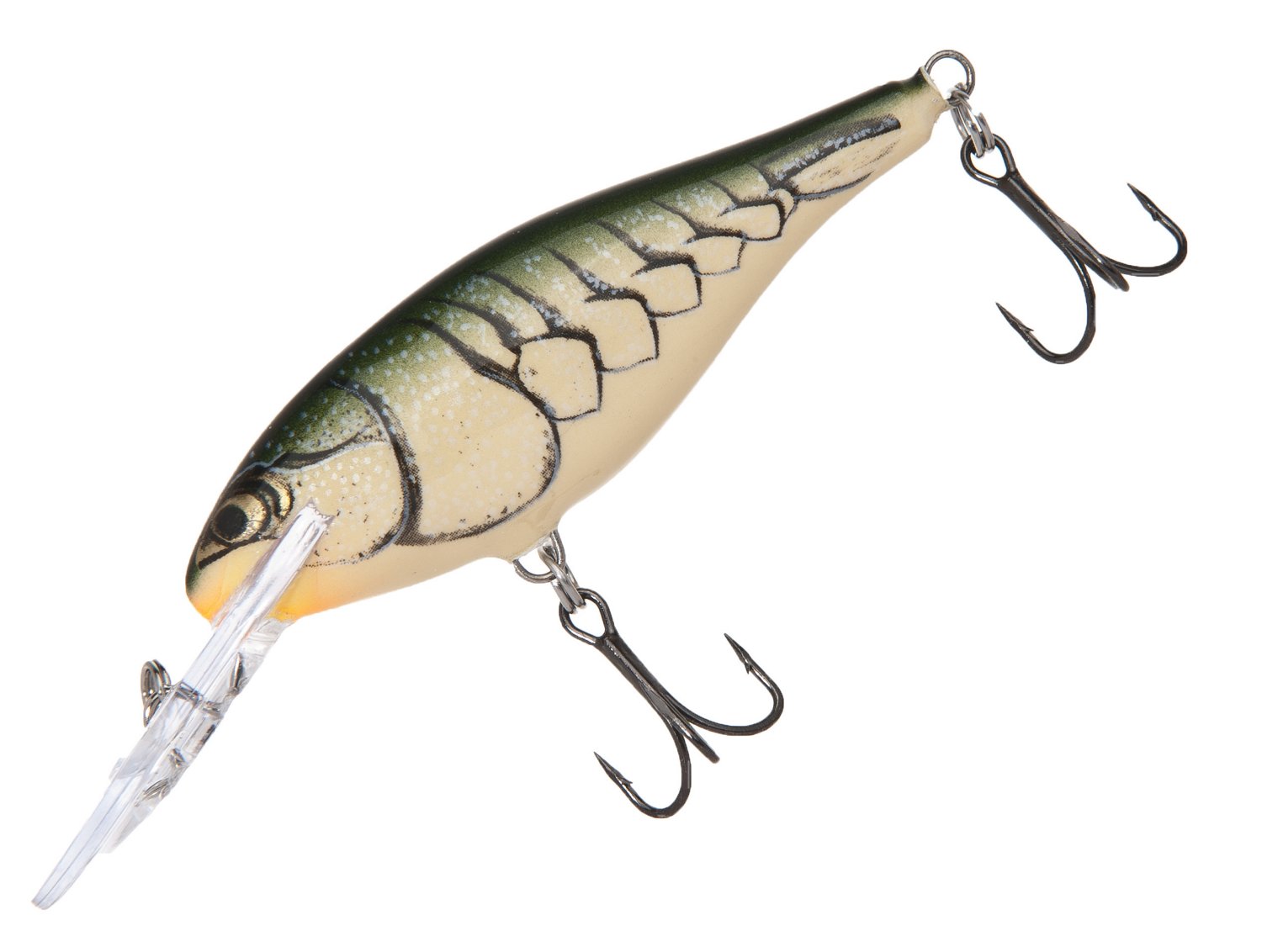 Olive Green Craw