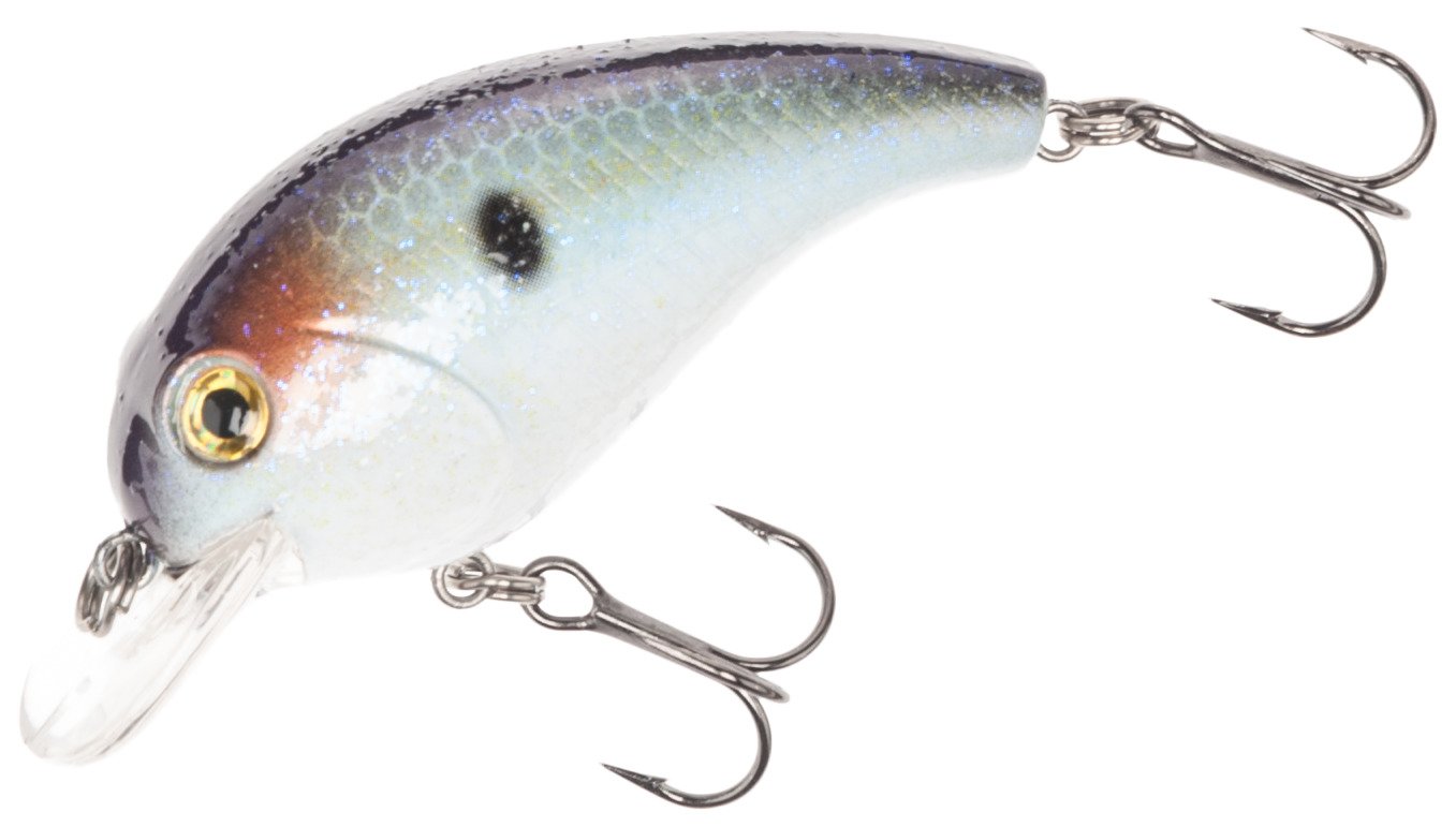 Threadfin Shad