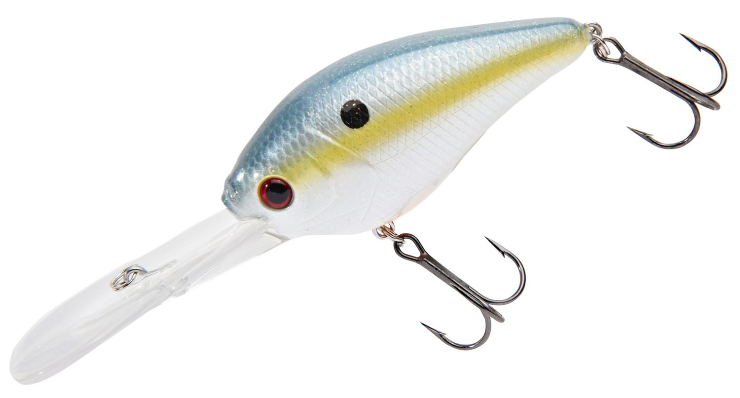 Sexy Shad