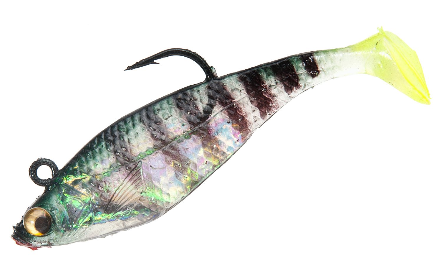 Bluegill