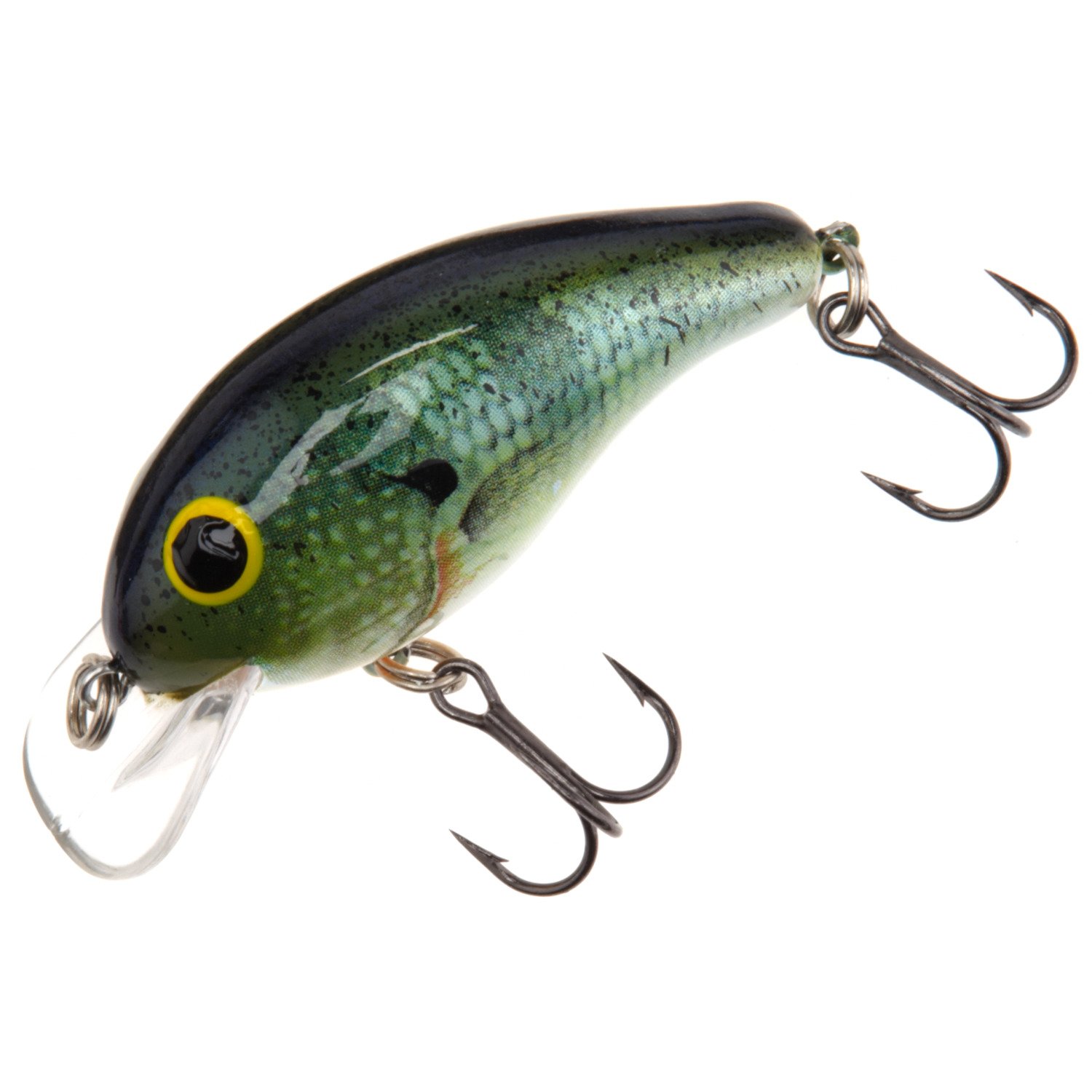 Blue Gill