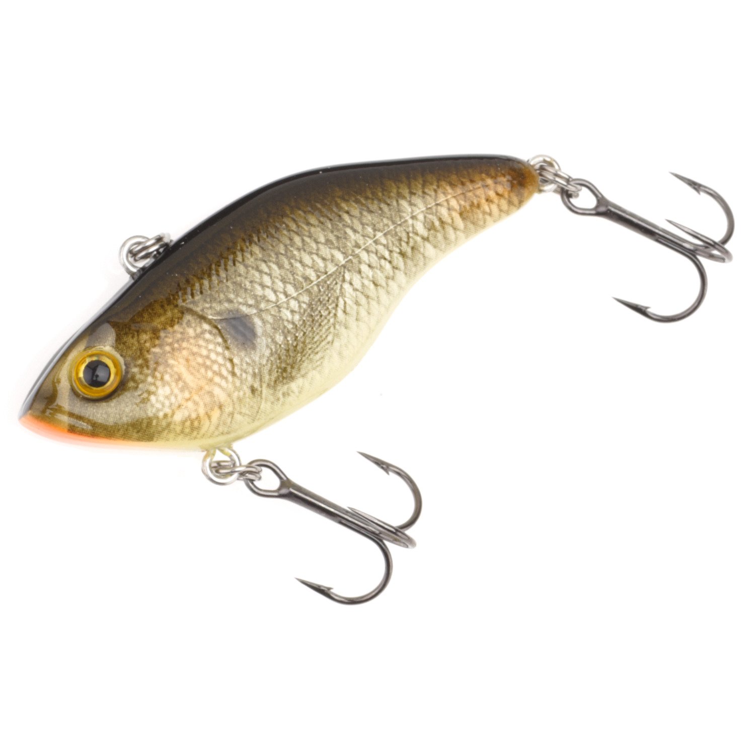 Bluegill