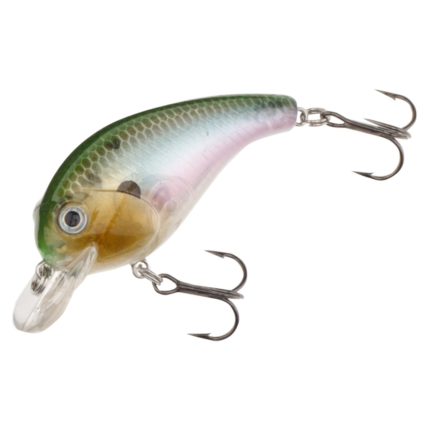 Ghost Shad