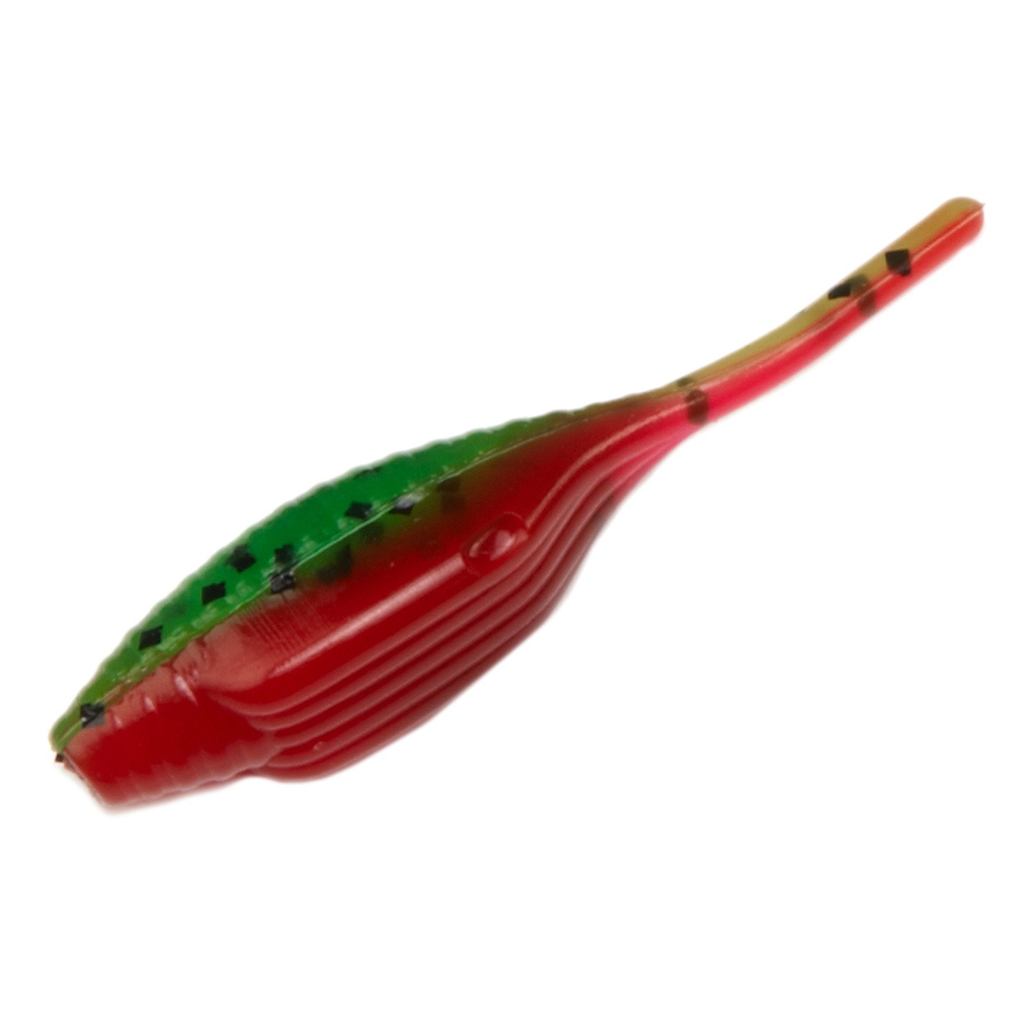 Tomato Seed