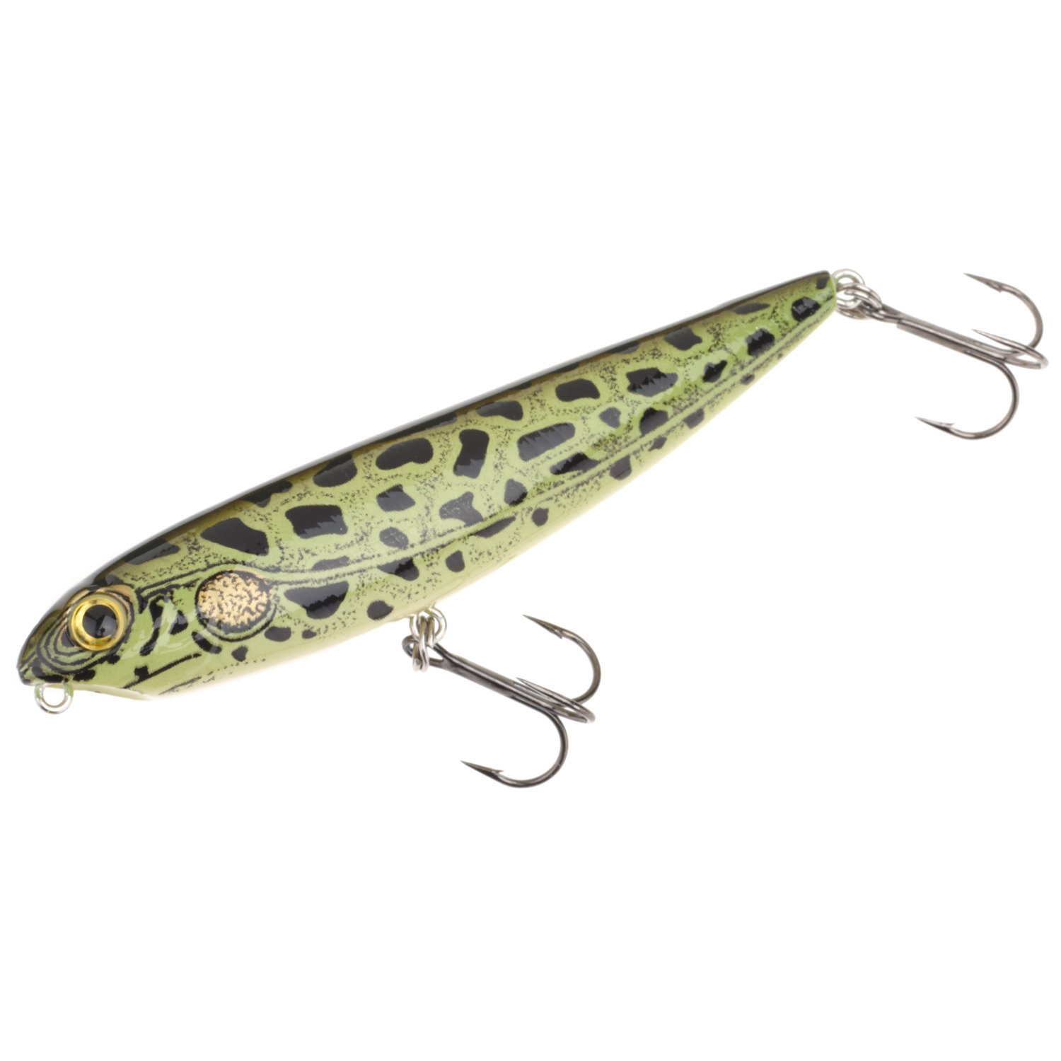 Bullfrog
