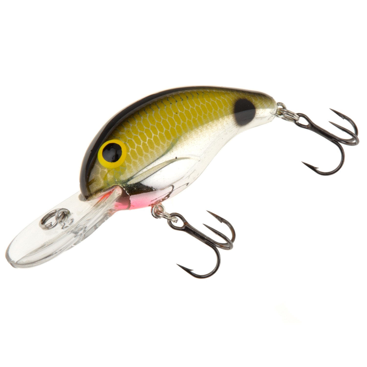 Chrome Tenn Shad