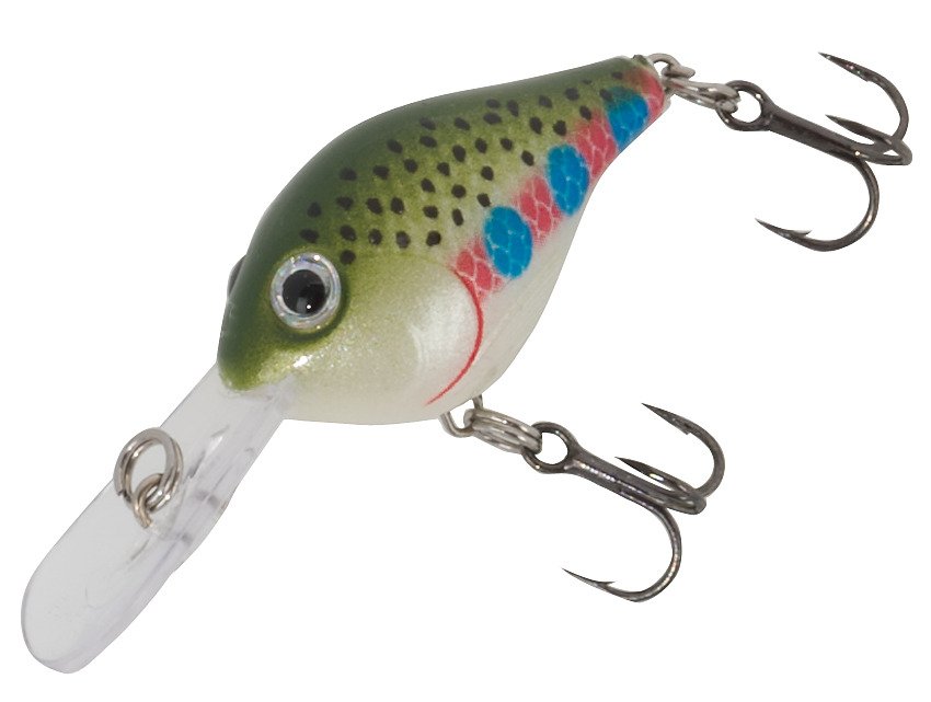 Rainbow Trout
