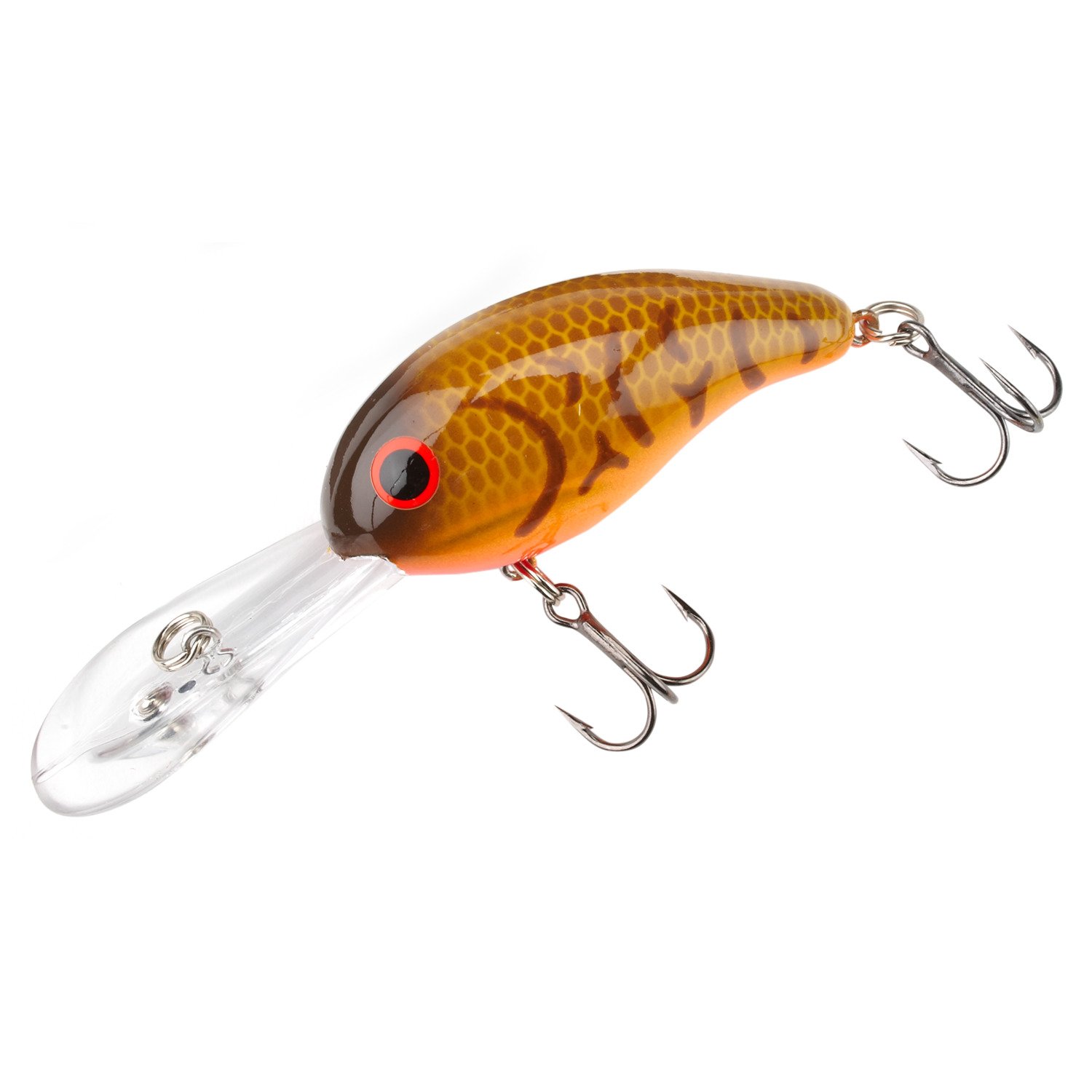 Brown Craw/Orange Belly