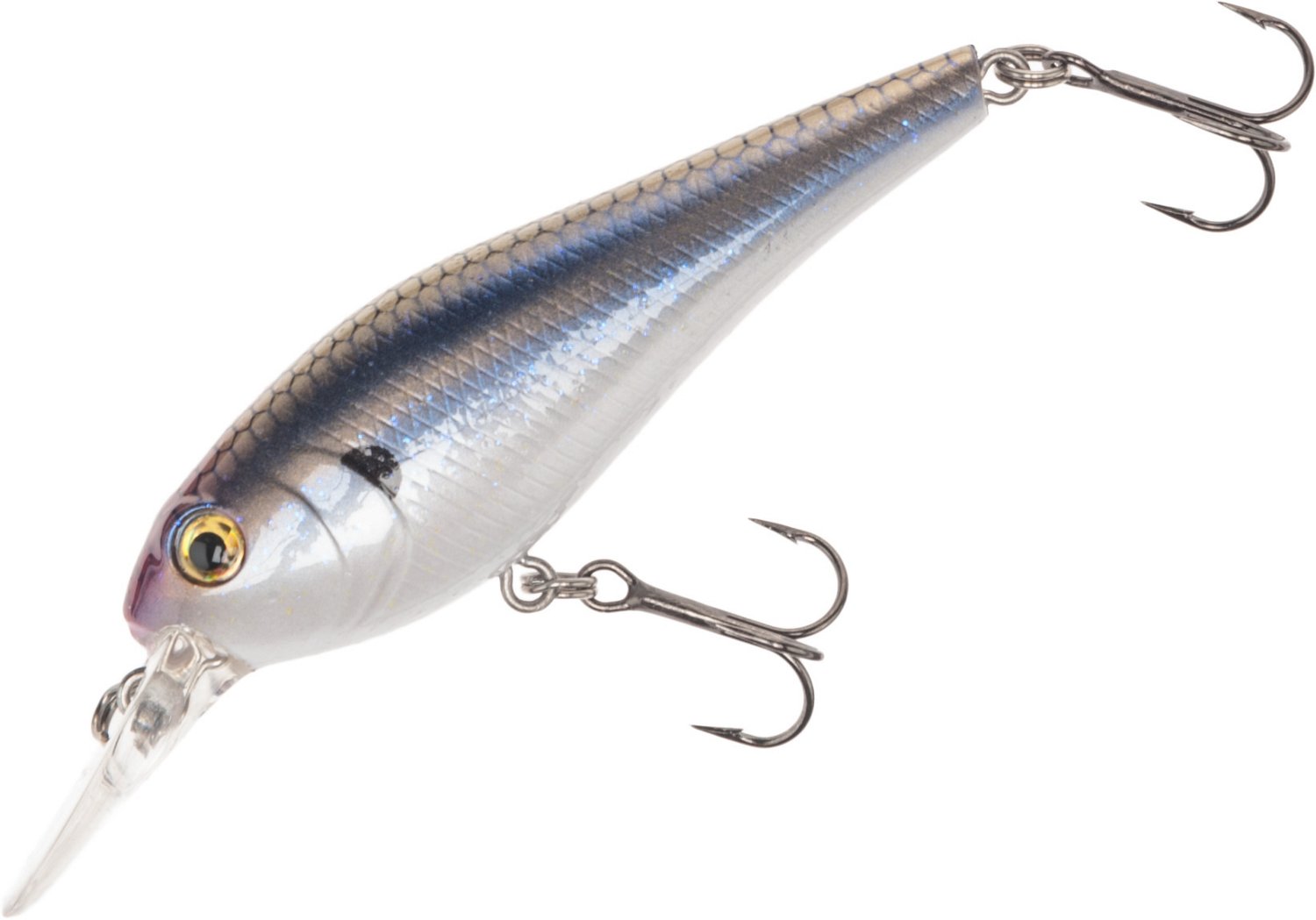 Smelt