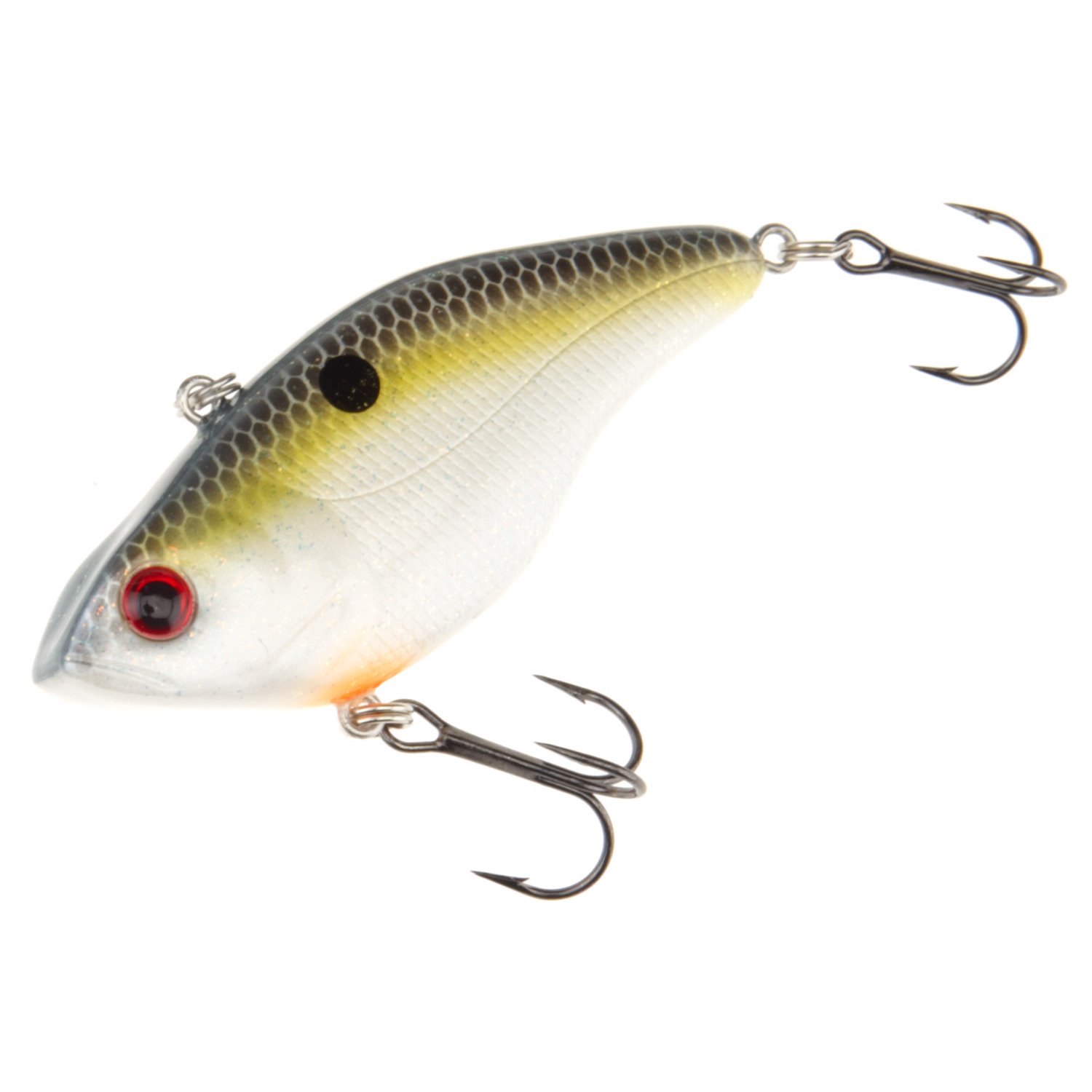Sexy Shad