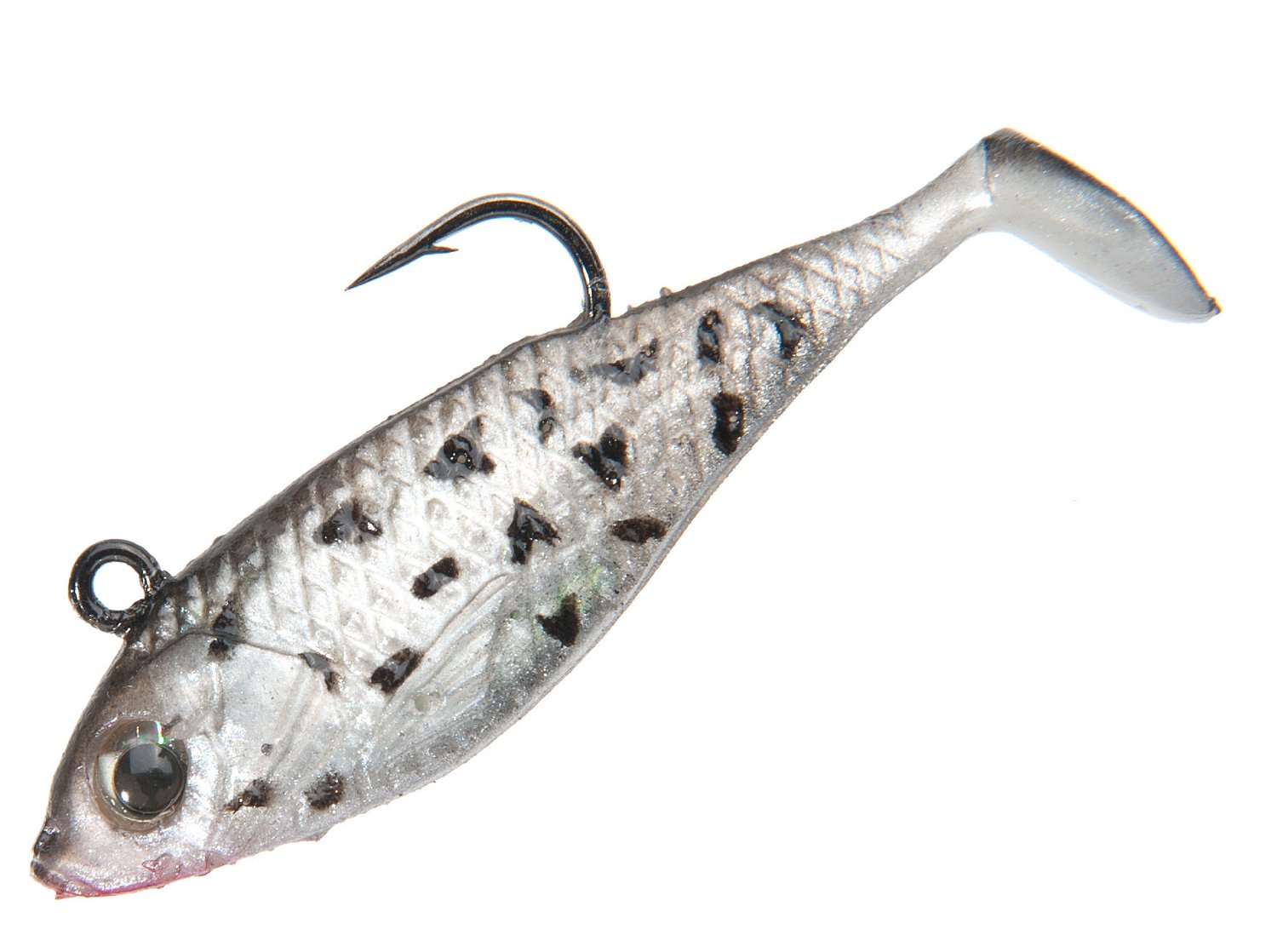 Black Crappie