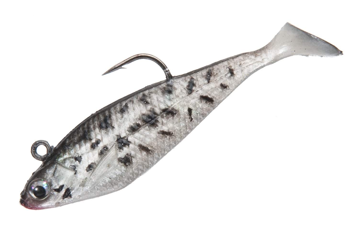 Crappie