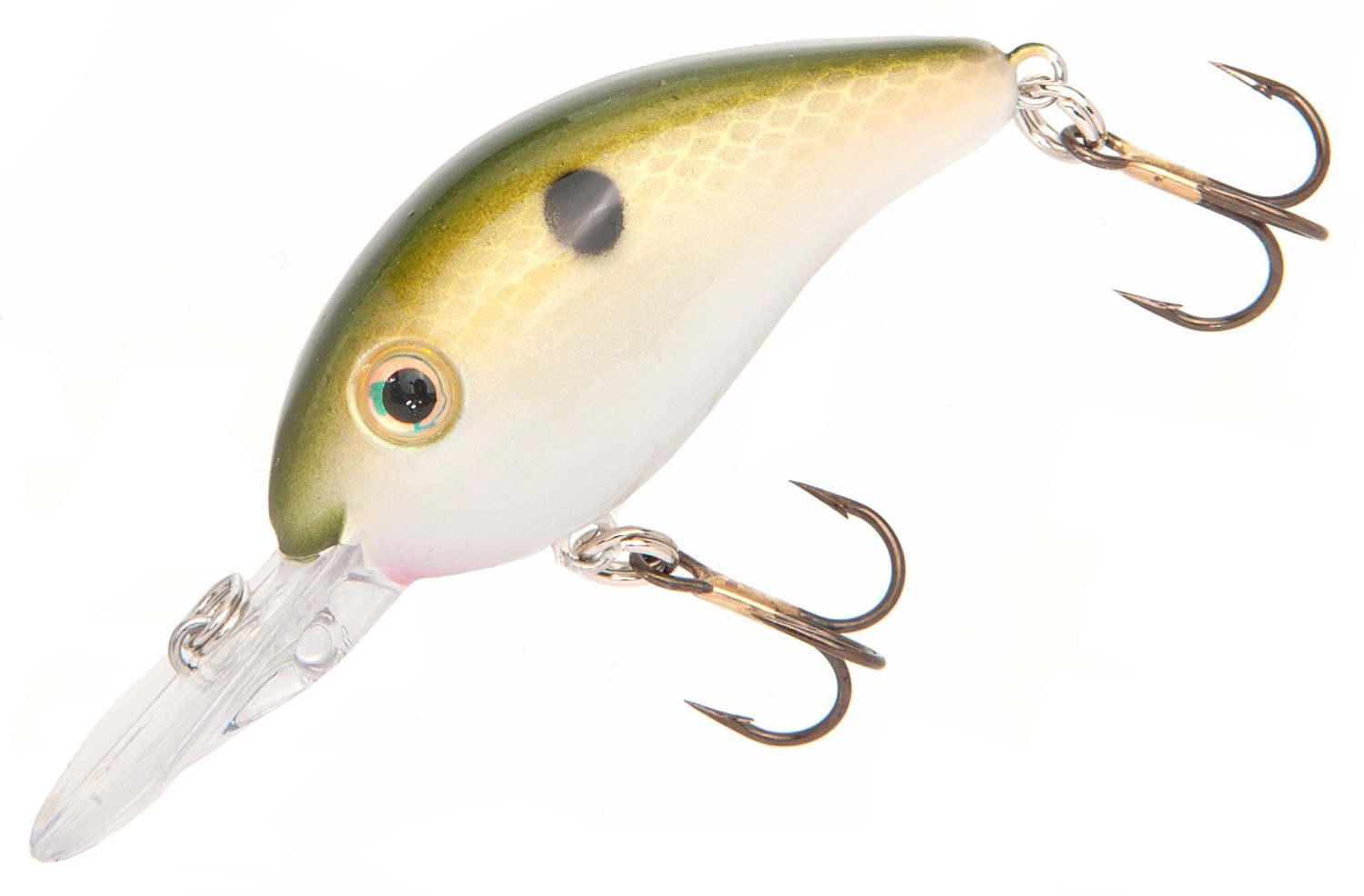 Tennesse Shad