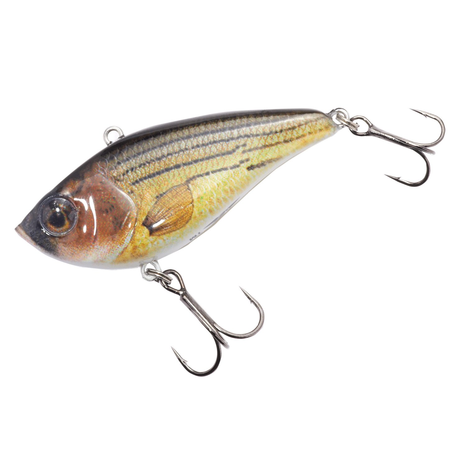 Barfish