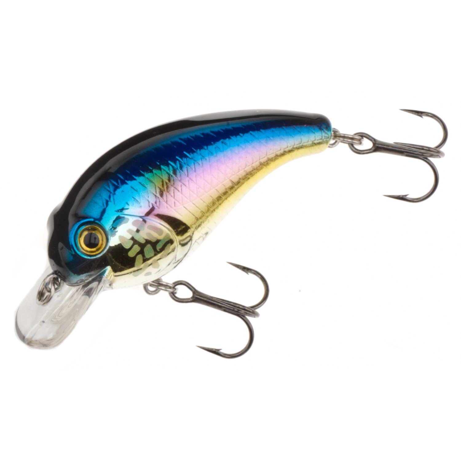 American Shad