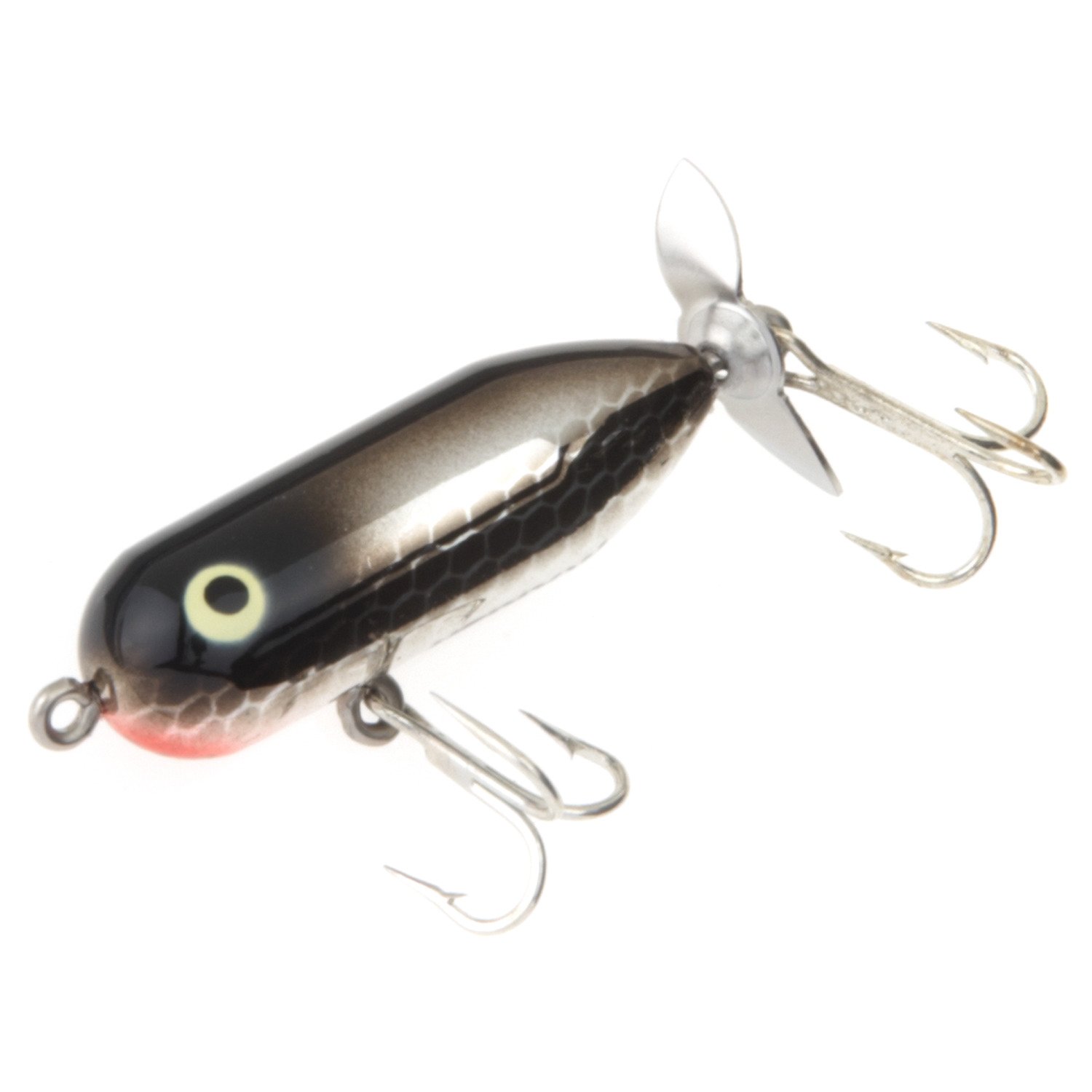 Black Shiner