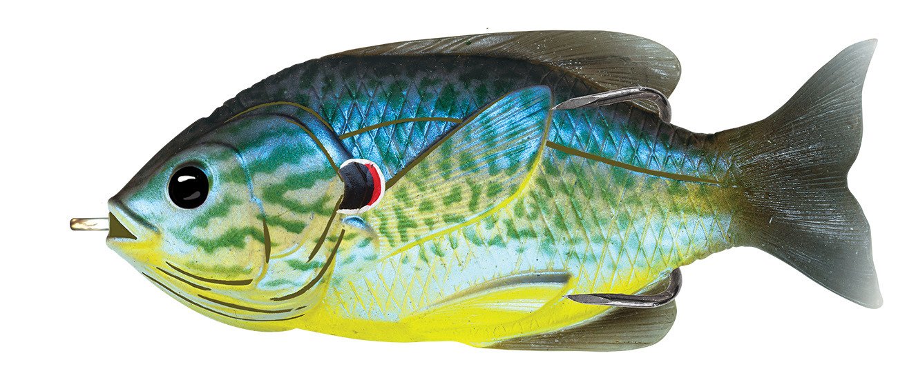 Rigged Plastic Swim Baits
