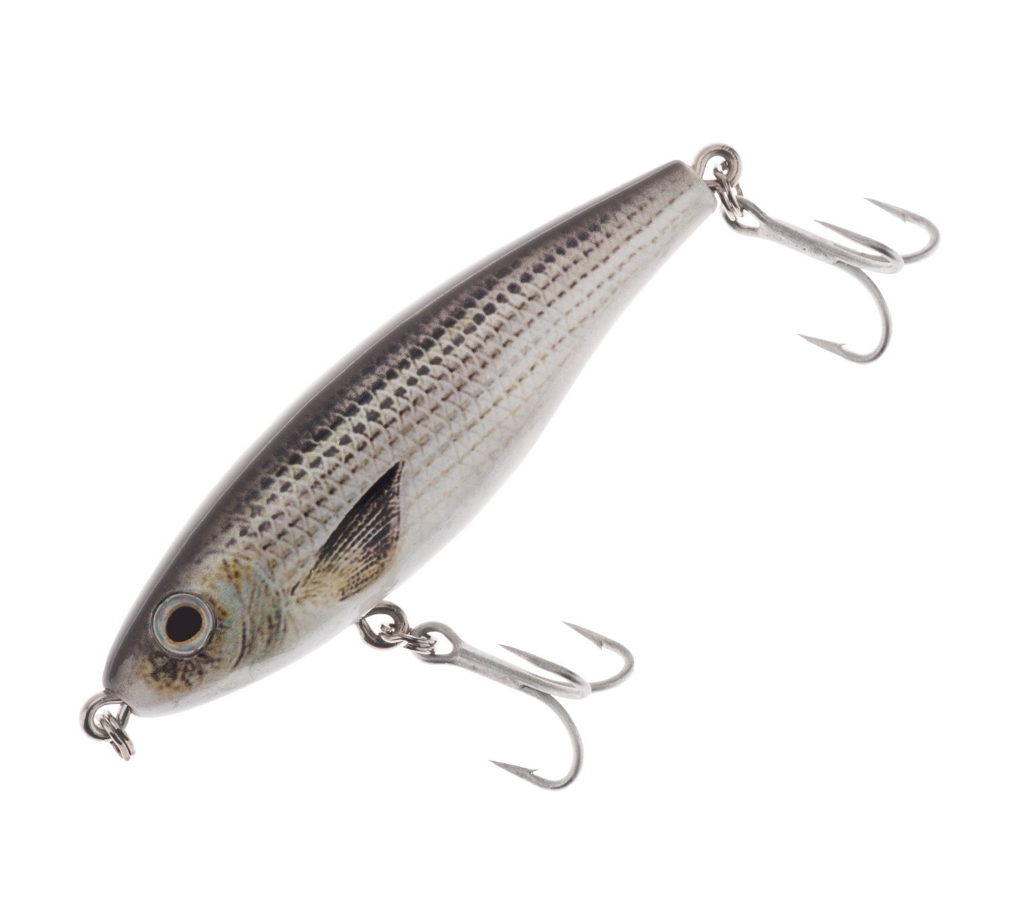 H2O XPRESS Hover Shad 3-1/2" Slow Sink Jerk Bait