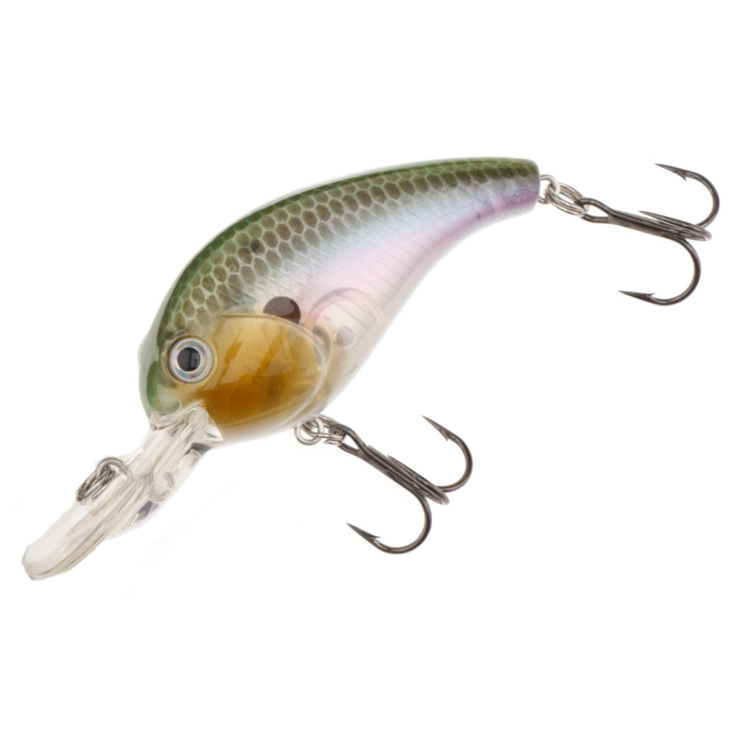 Ghost Shad
