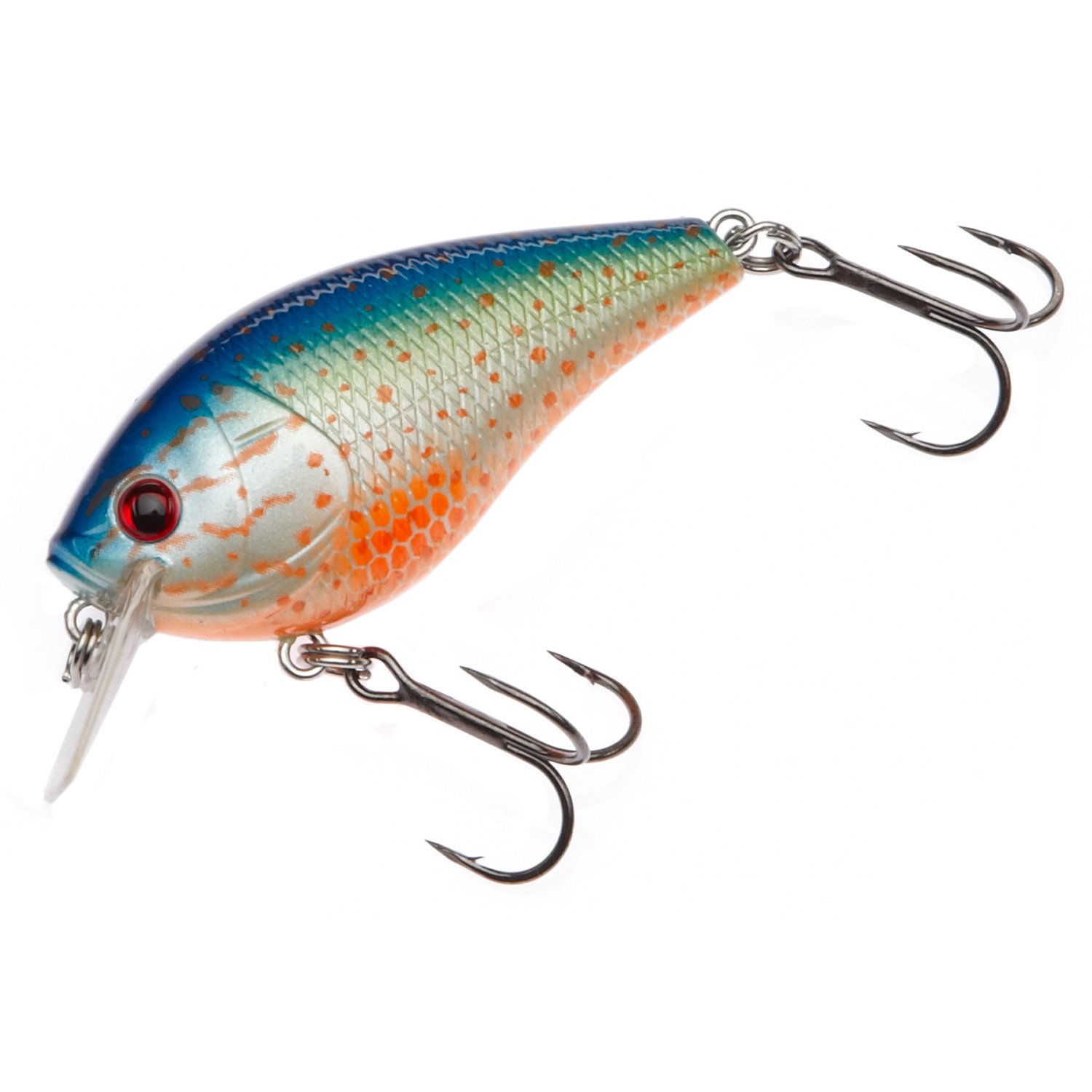 Pumpkinseed