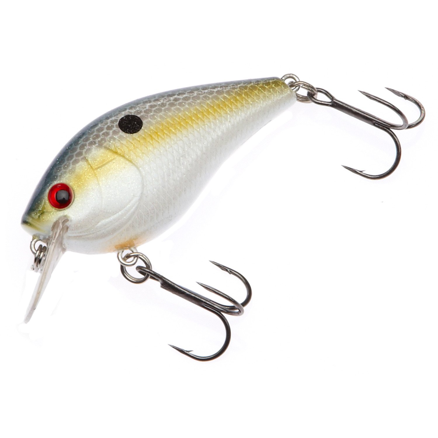 Foxy Shad