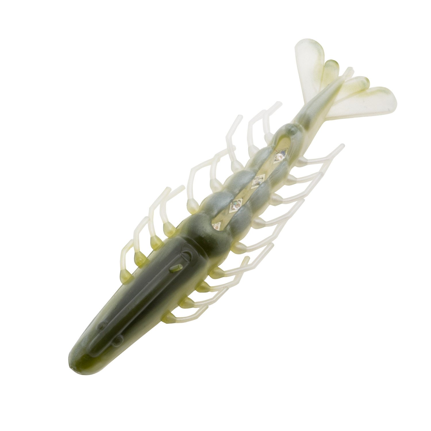 White/Anchovie