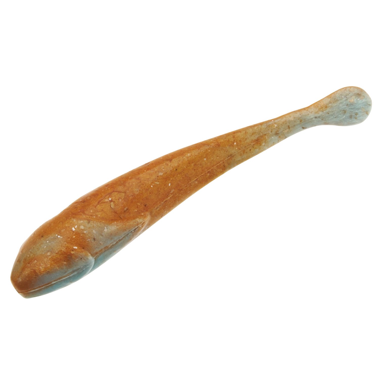 Killifish