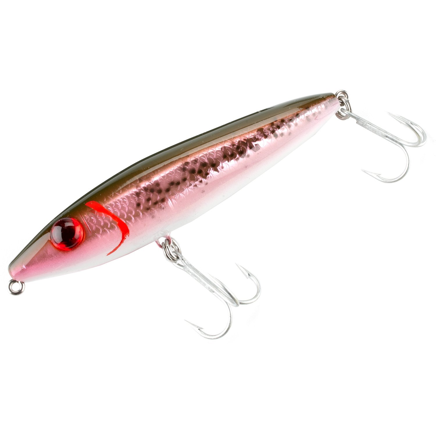 Rainbow Trout