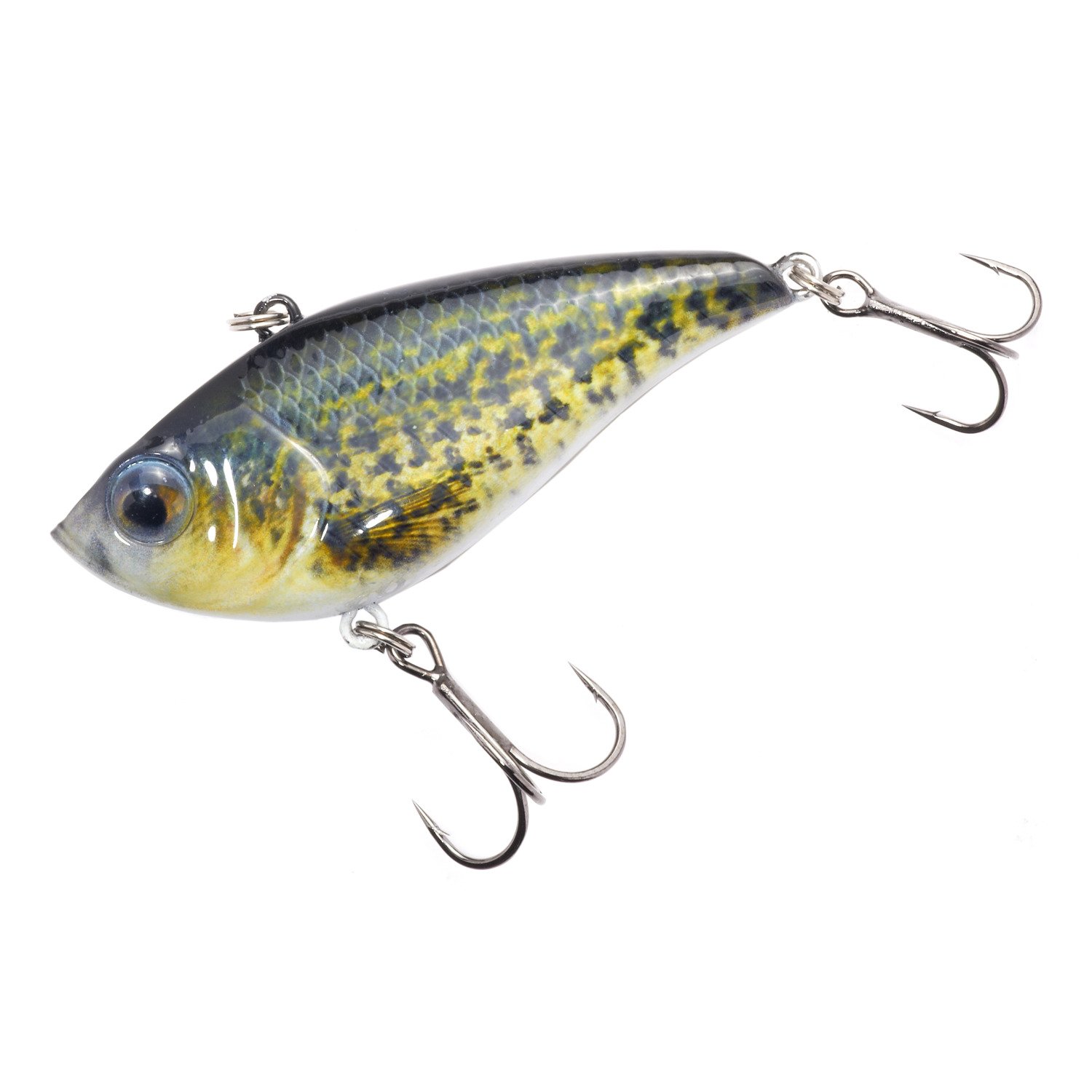 Baby Crappie