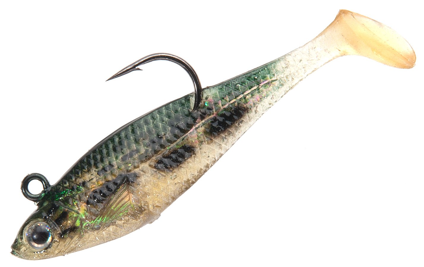 Baby Bass