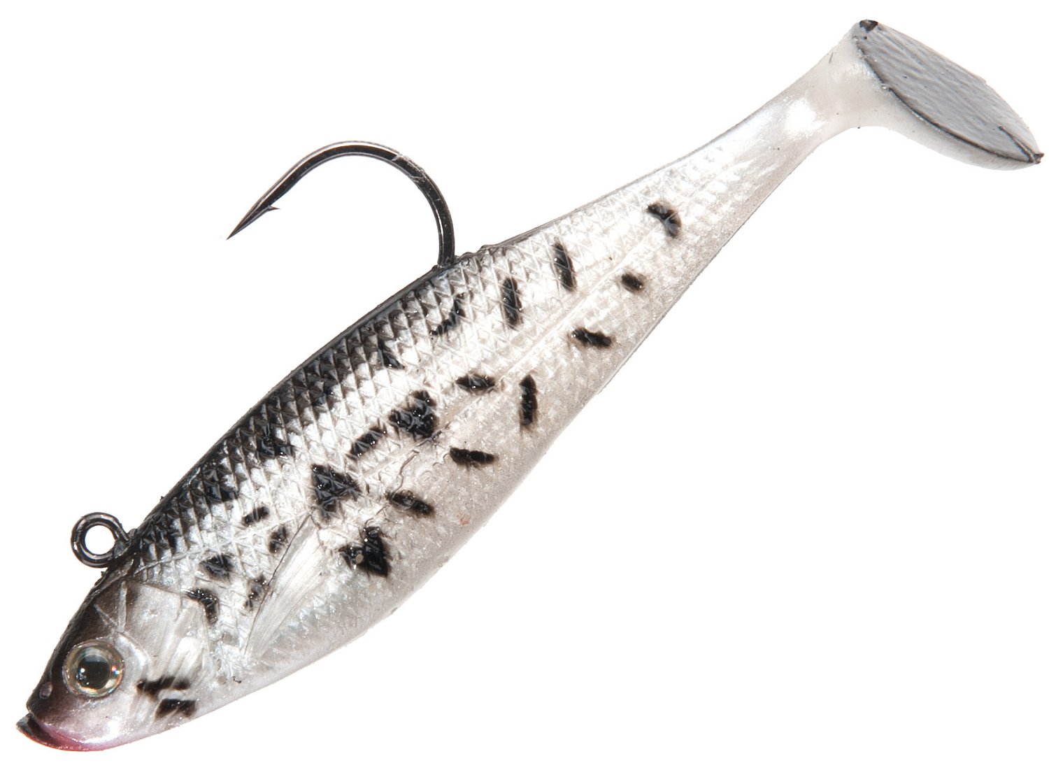 Black Crappie