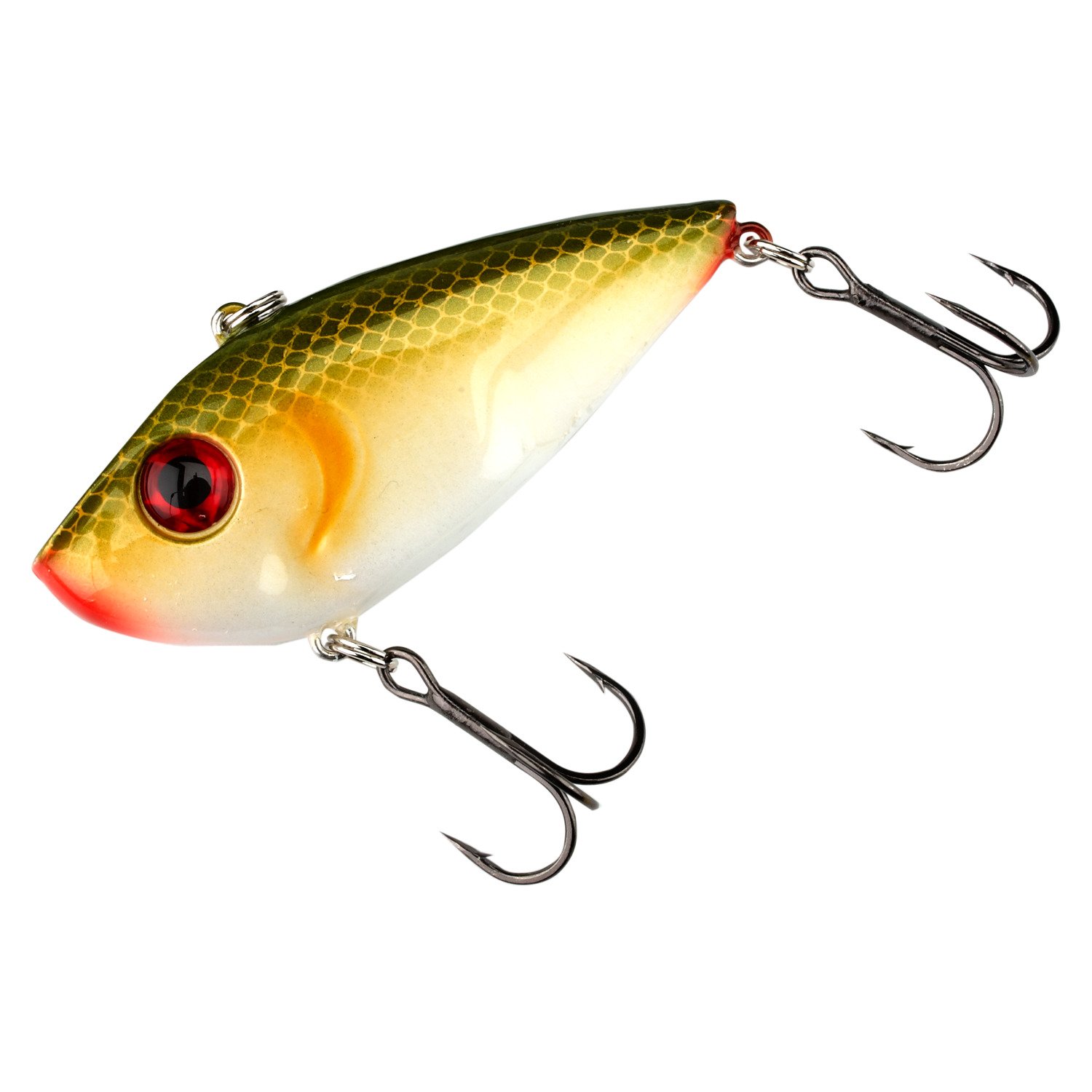Green Shad