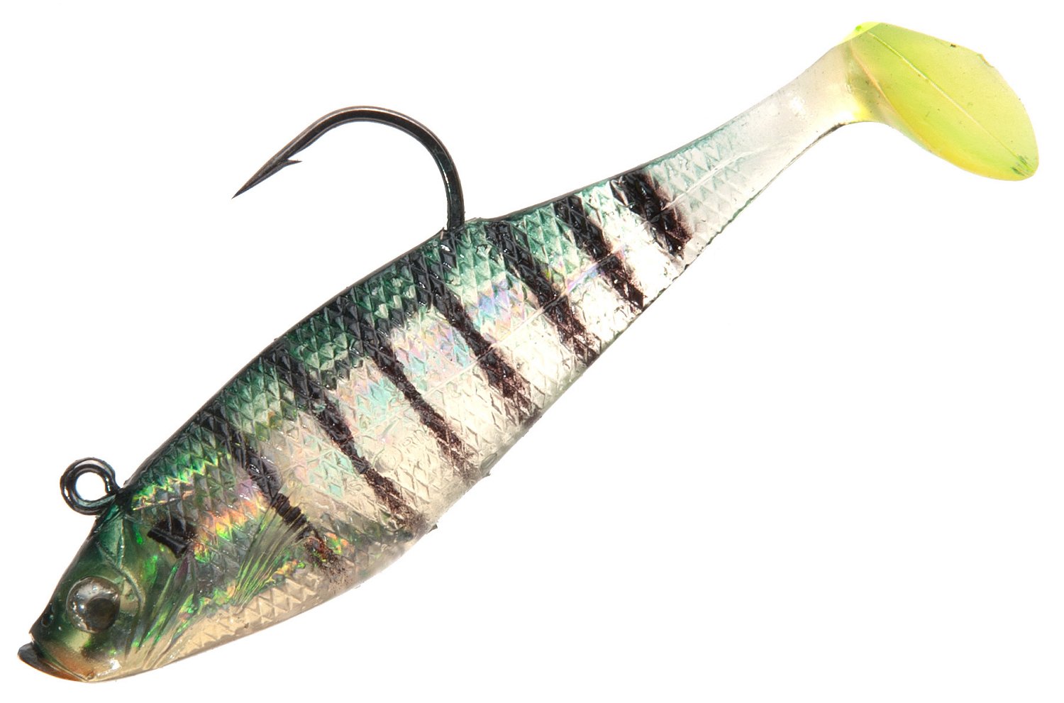 Bluegill