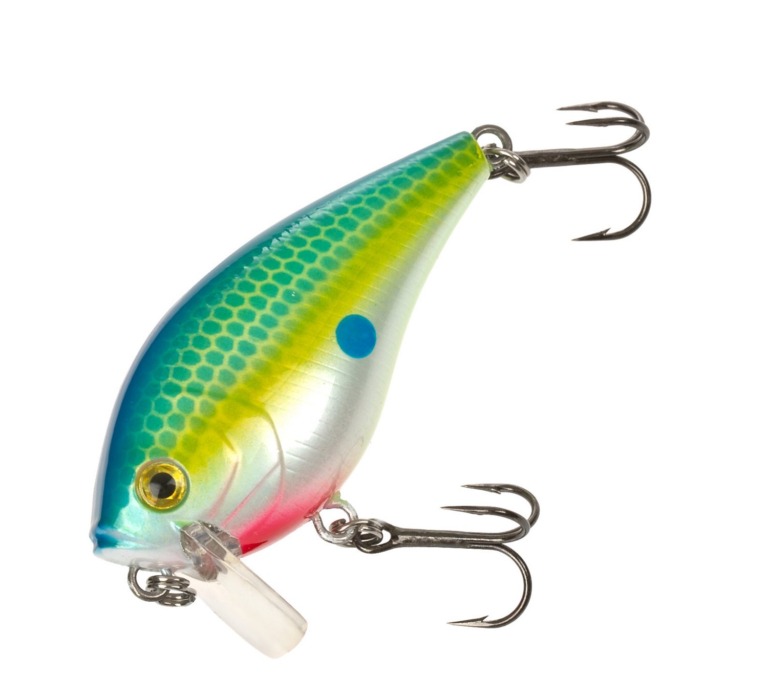 Sexy Citrus Shad
