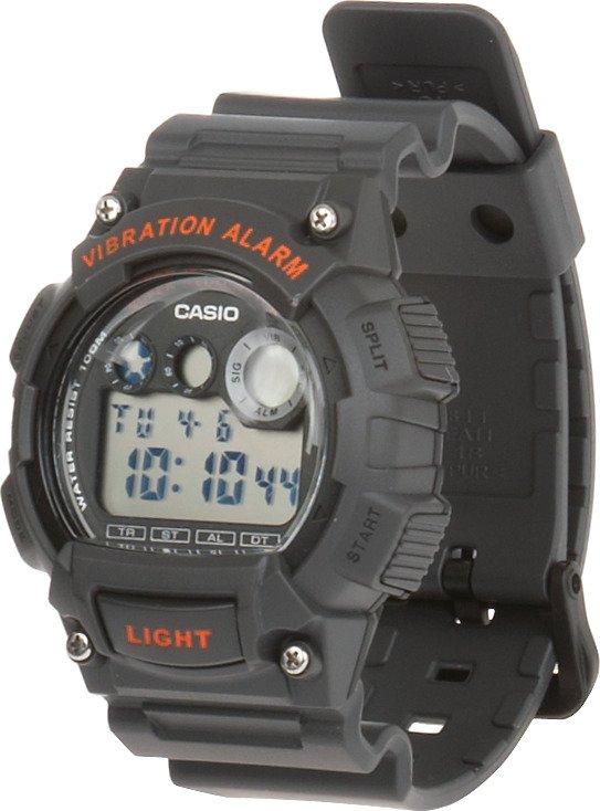 Casio Men's Sport Watch