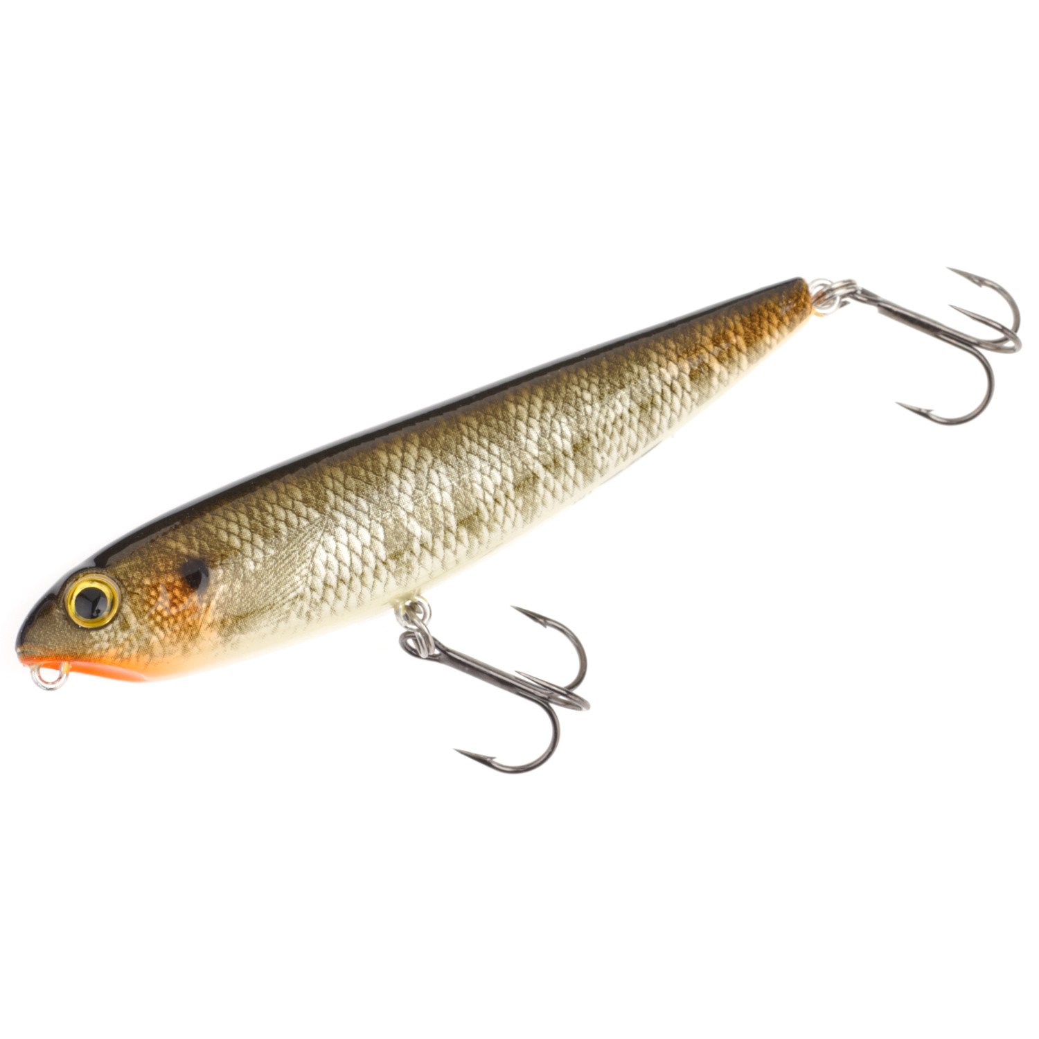 Bluegill