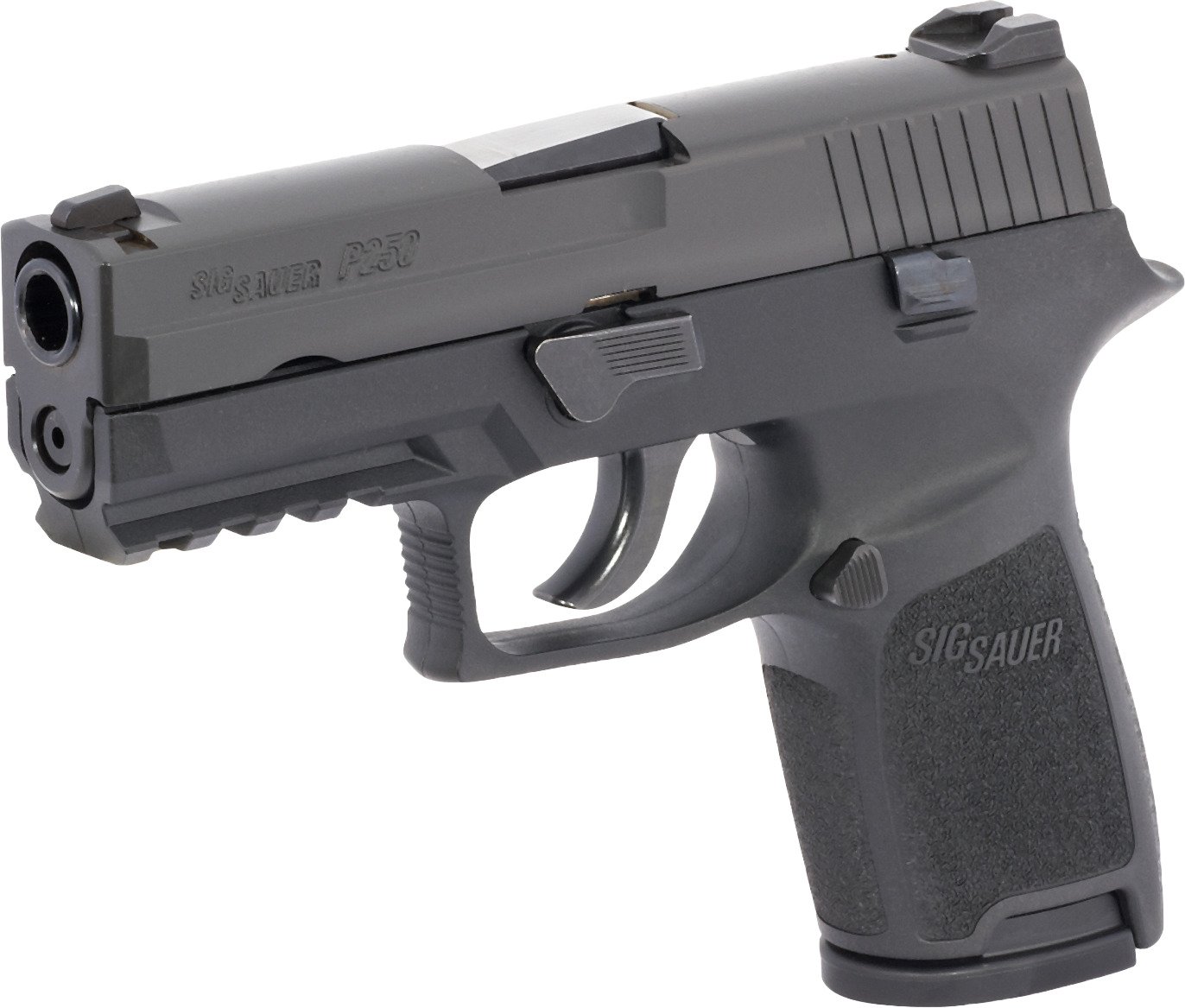SIG SAUER P250 .40 S&W Modular Pistol