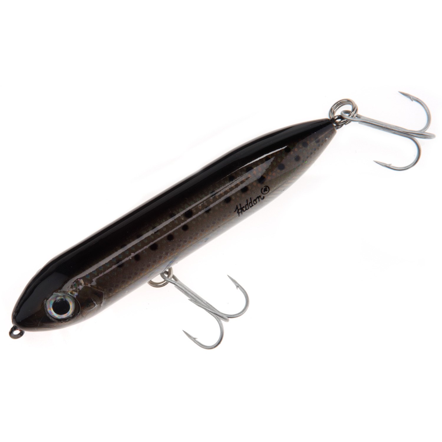Speckled Trout