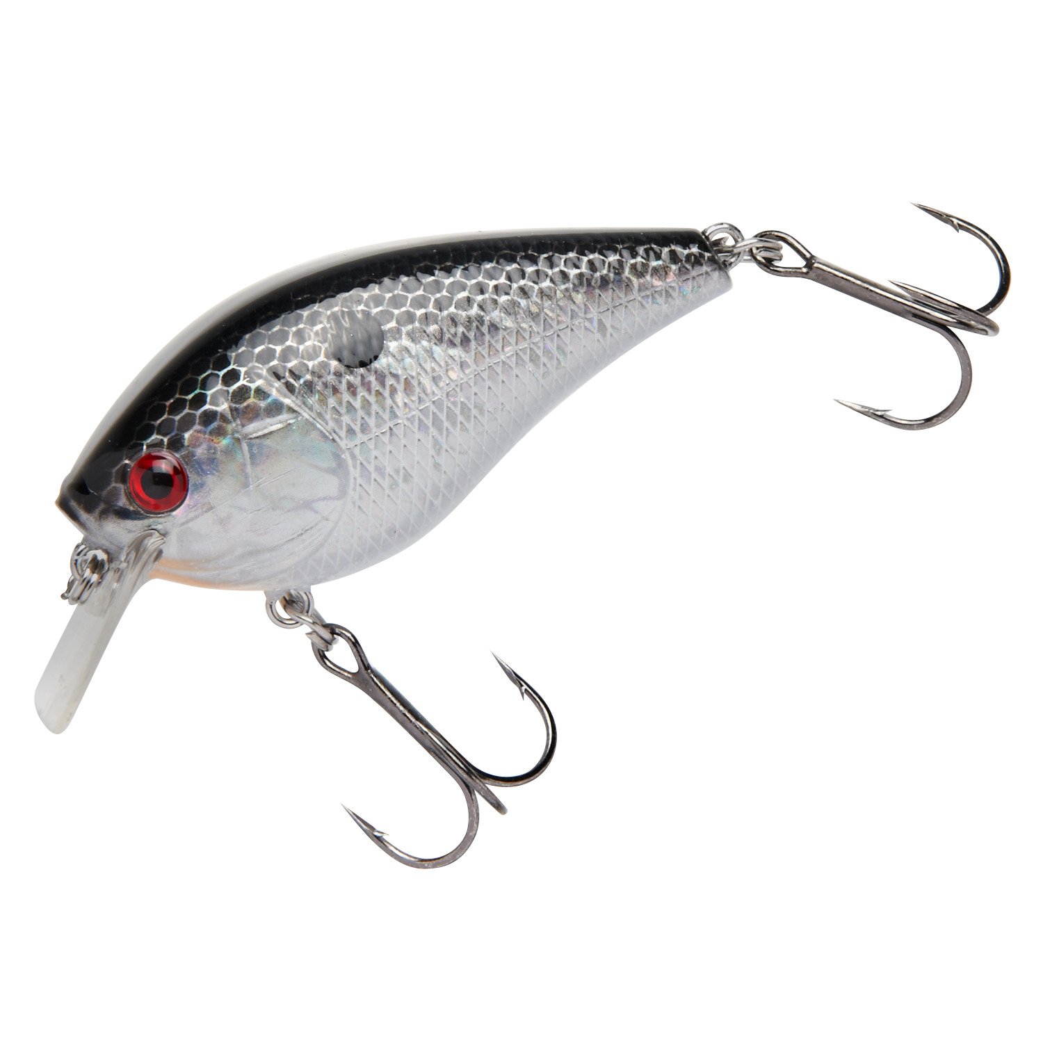 Black Shad