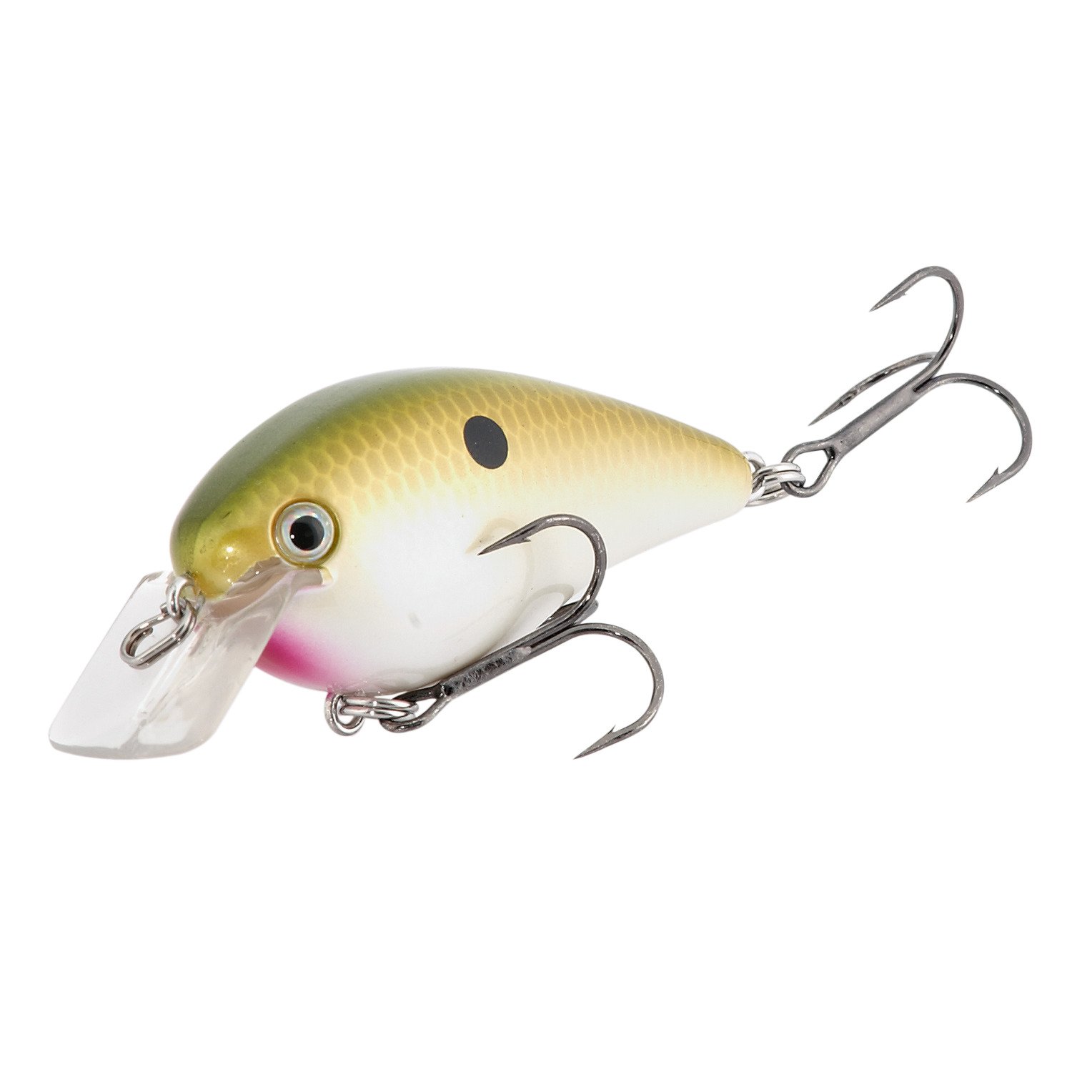 Tennessee Shad