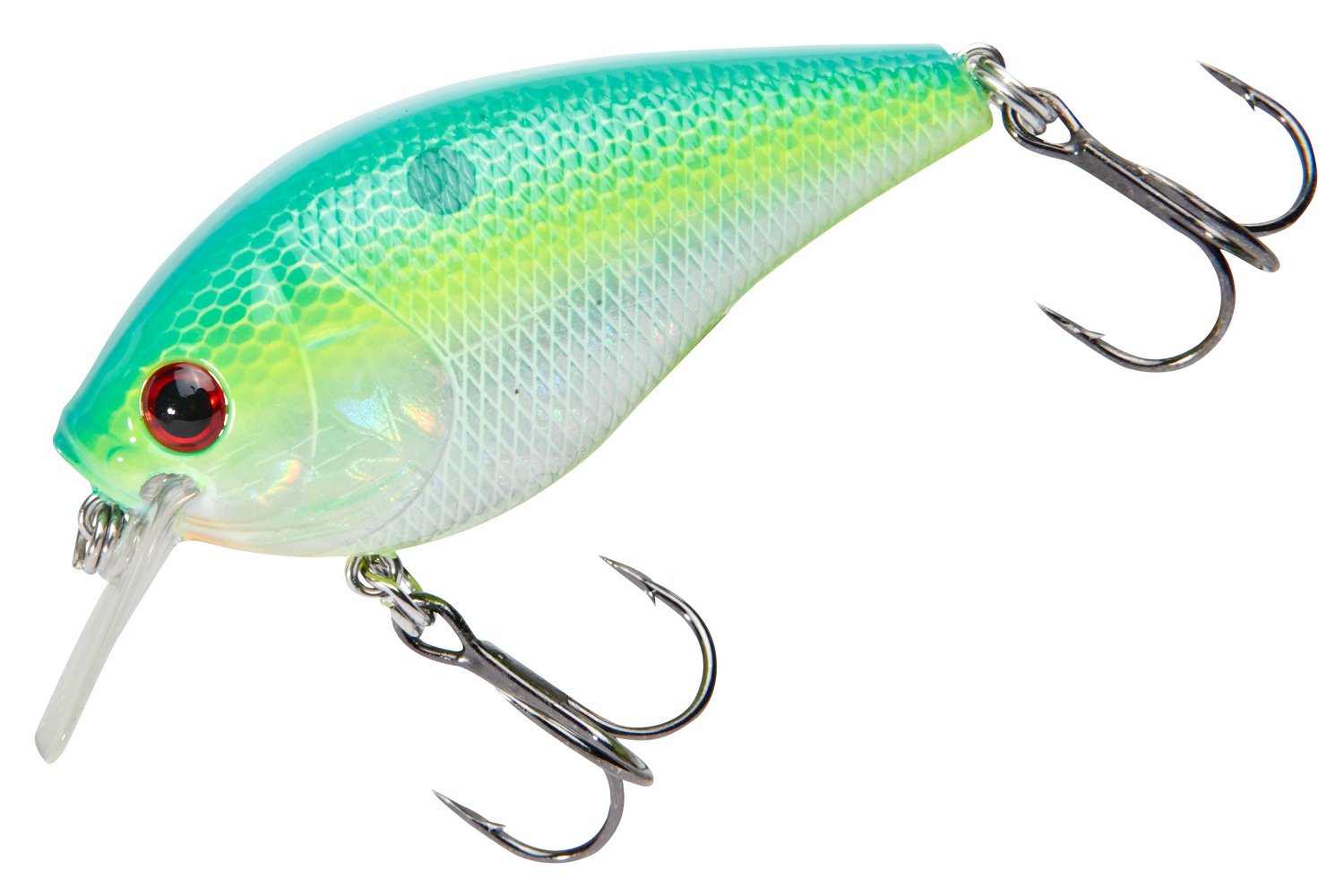 Citrus Shad