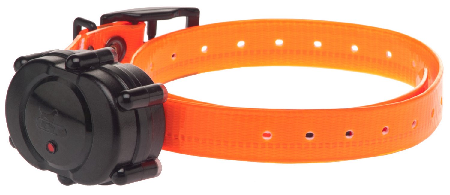 D. T. Systems iDT Add-On Collar