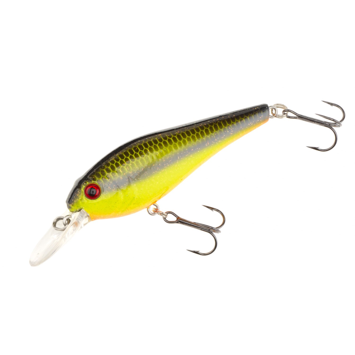 Chartreuse Shad