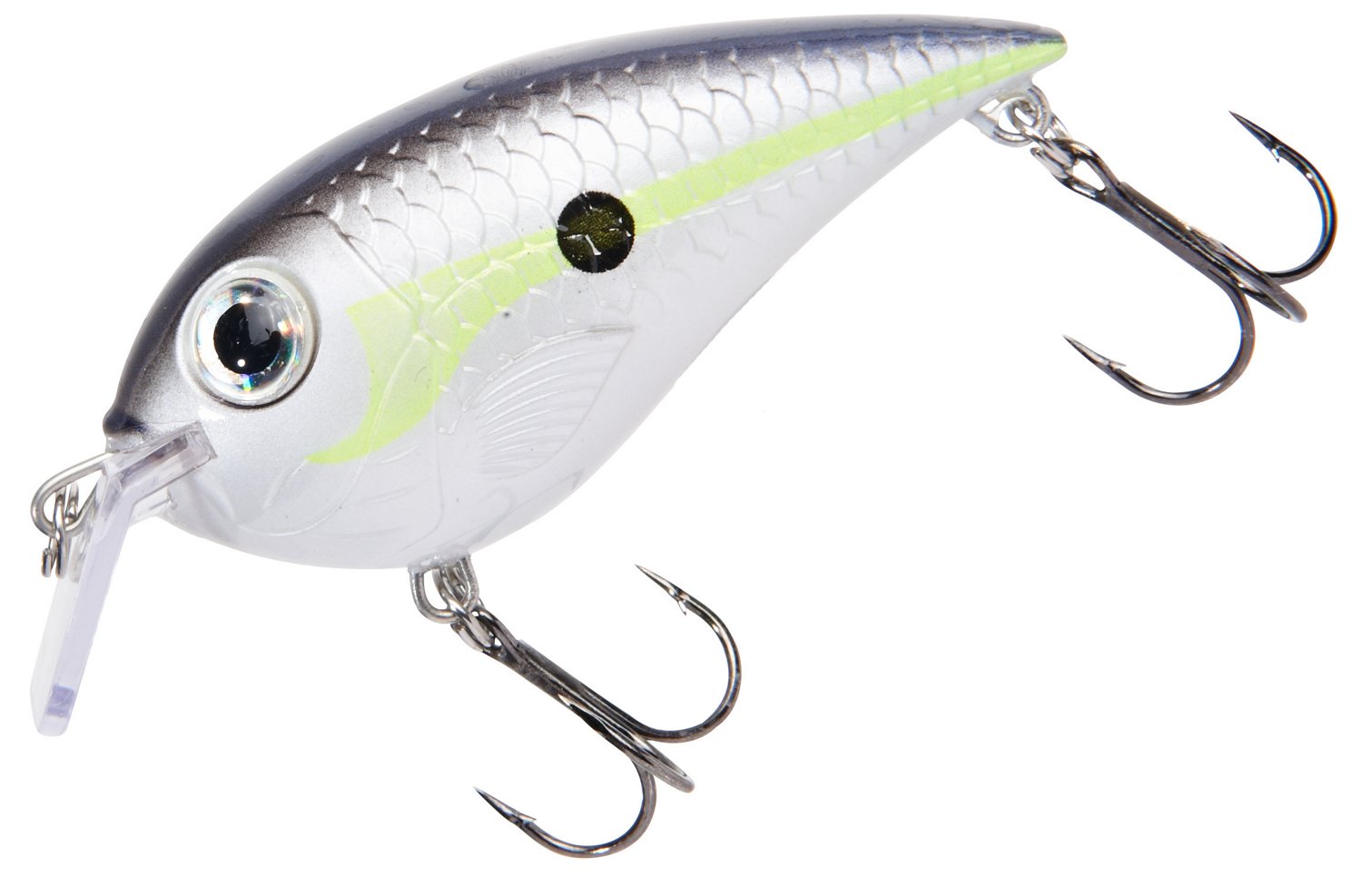 Helsinki Shad