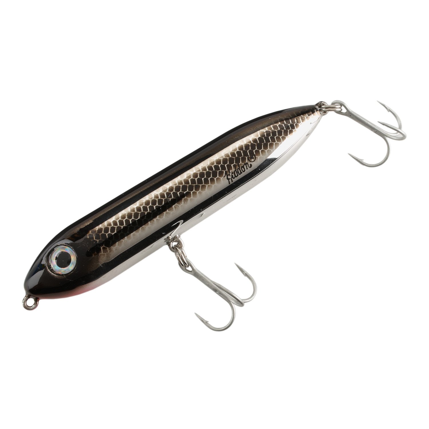 Black Shiner