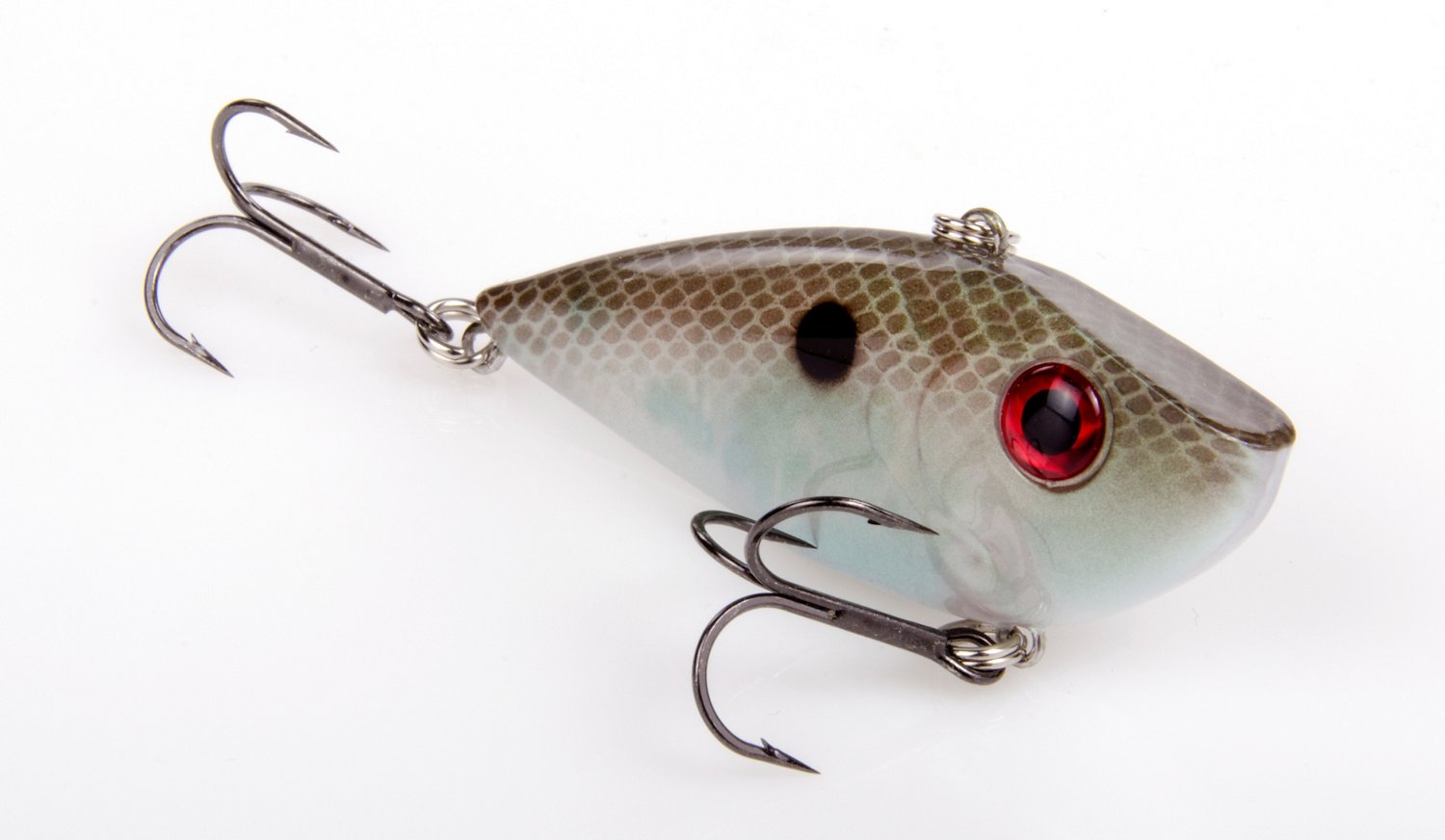 Green Gizzard Shad