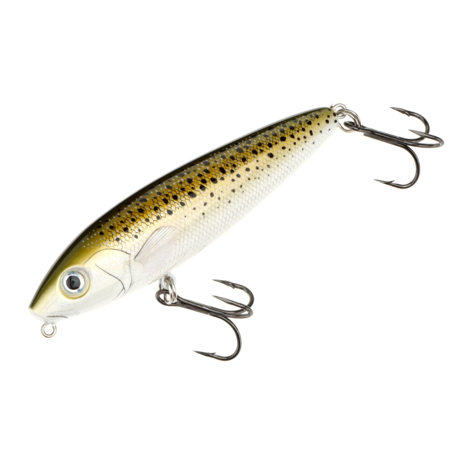 Speckled Trout