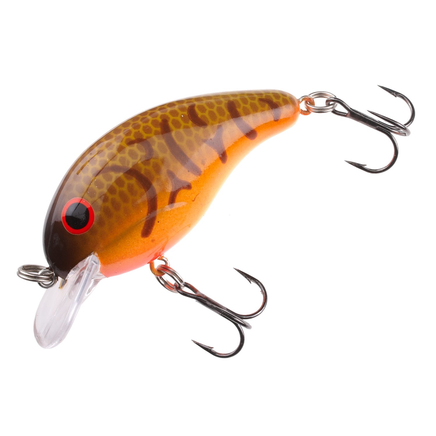 Brown Craw/Orange Belly