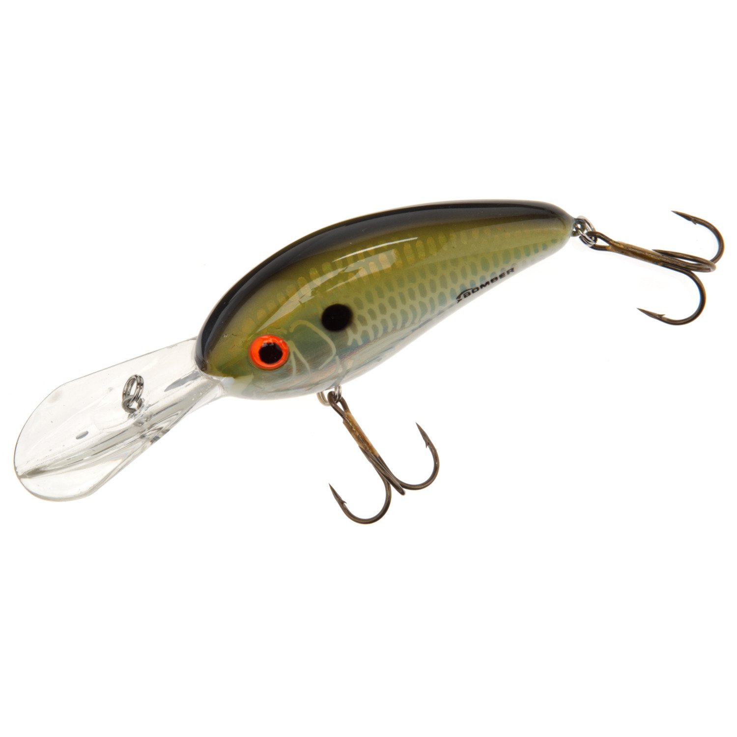 Dance's Tennessee Shad